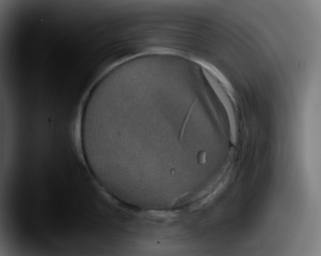 X0000087540910200705181046