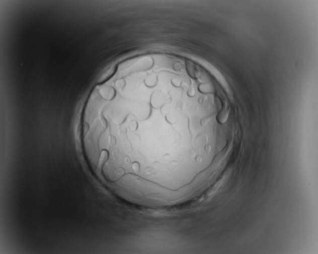 X0000087540911200705181046