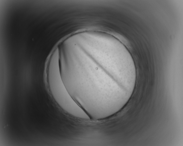 X0000087540912200705181046