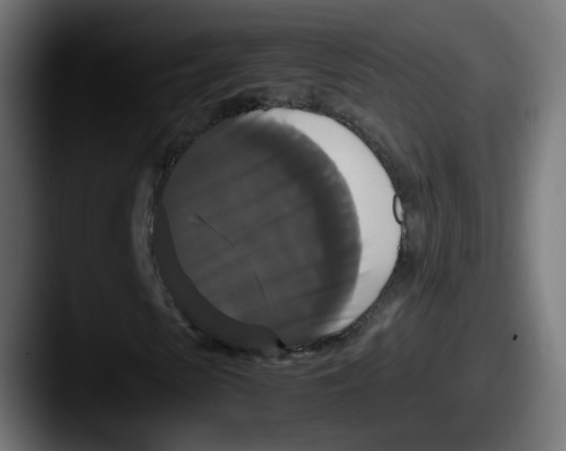 X0000087540913200705181045