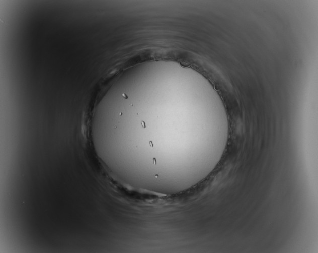 X0000087540914200705181045