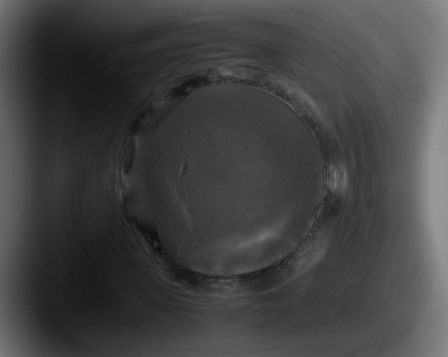 X0000087540915200705181045