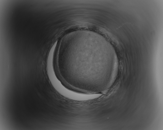 X0000087540916200705181045