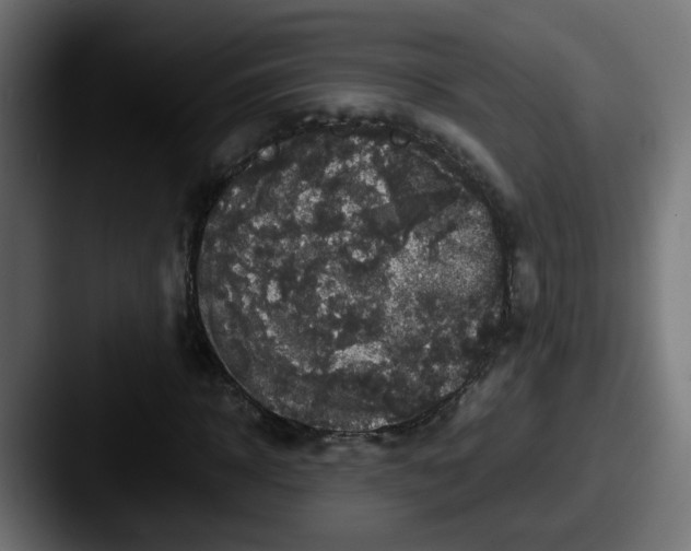 X0000087540918200705181045