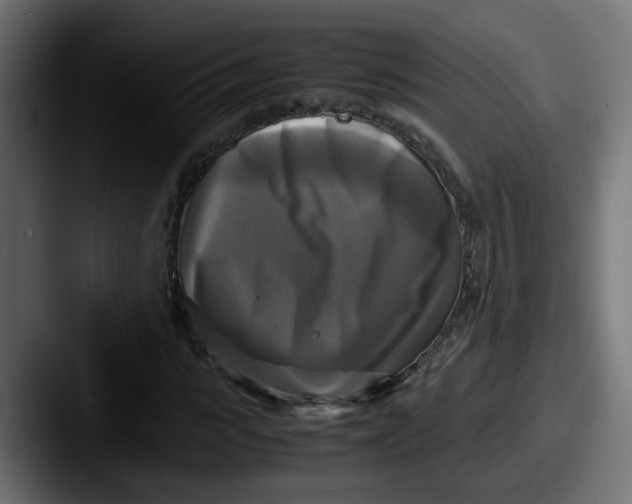 X0000087540919200705181045