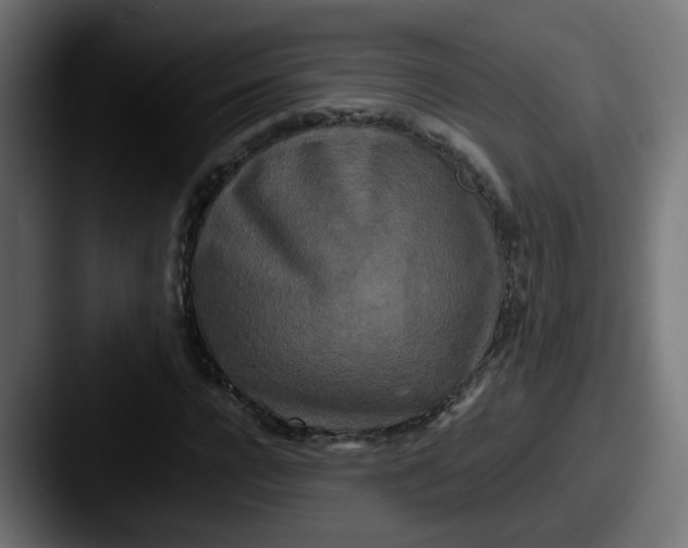 X0000087540920200705181045