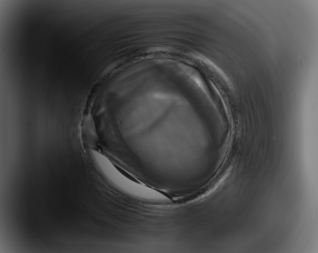 X0000087540921200705181046