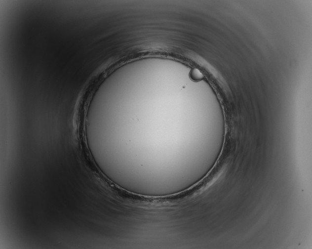 X0000087540922200705181046