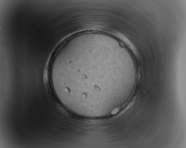 X0000087540924200705181046