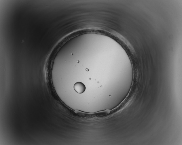 X0000087540926200705181046