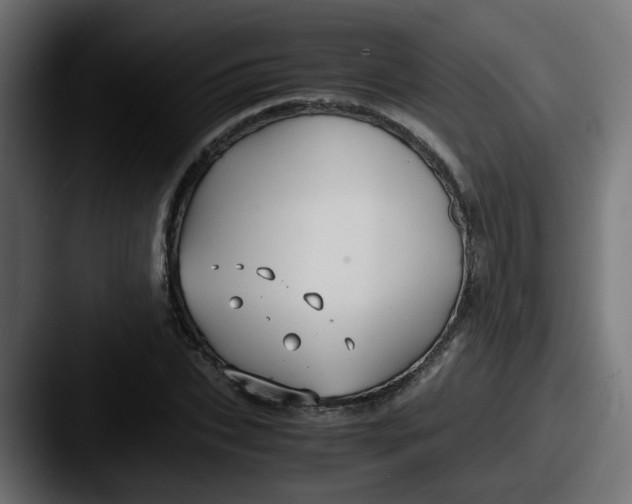 X0000087540927200705181046