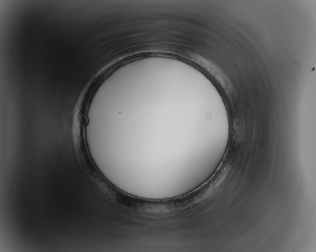 X0000087540931200705181046