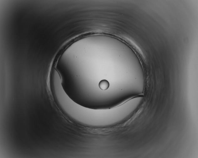 X0000087540932200705181046