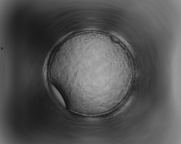 X0000087540933200705181046