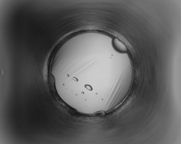 X0000087540934200705181046