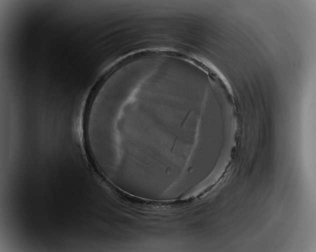 X0000087540935200705181046