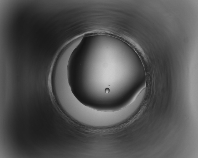 X0000087540936200705181046