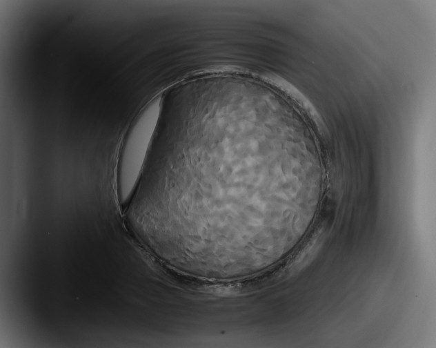 X0000087540937200705181046