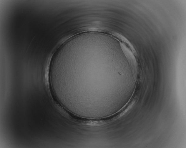 X0000087540938200705181046