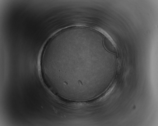 X0000087540939200705181046