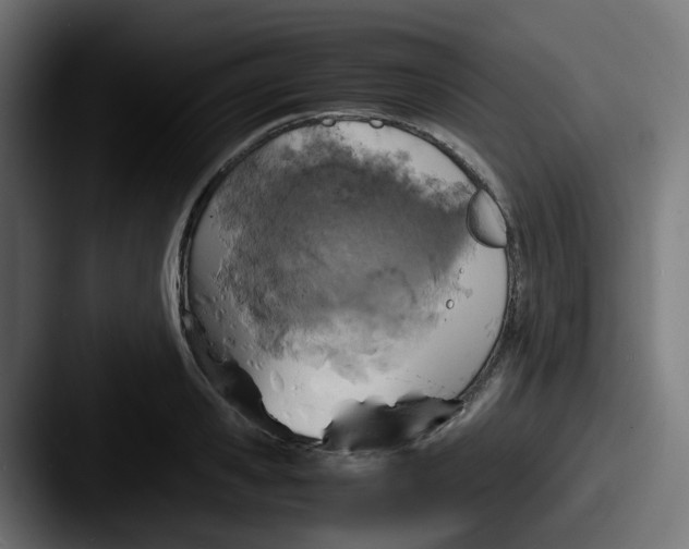 X0000087540941200705181046