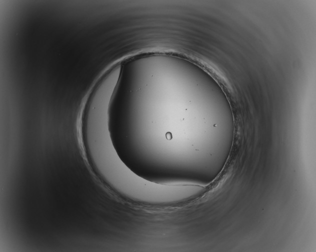 X0000087540942200705181046