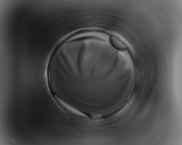 X0000087540943200705181046