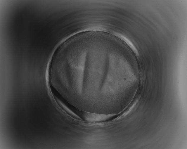 X0000087540944200705181046