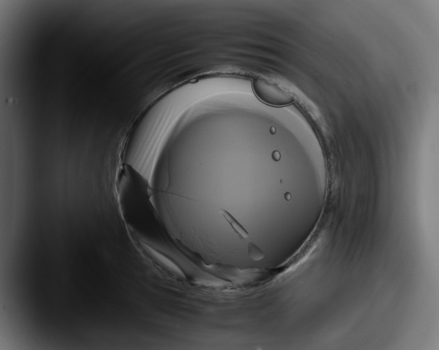 X0000087540945200705181046