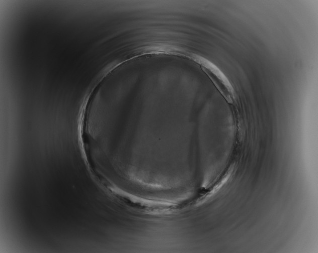 X0000087540946200705181046