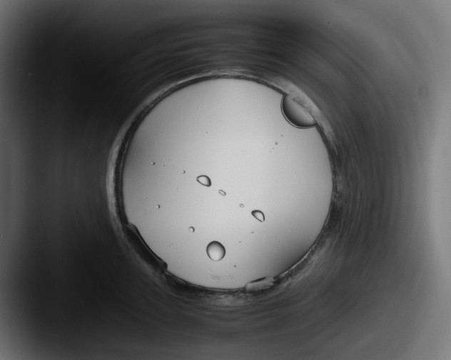 X0000087540947200705181046