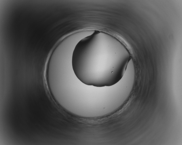 X0000087540948200705181046