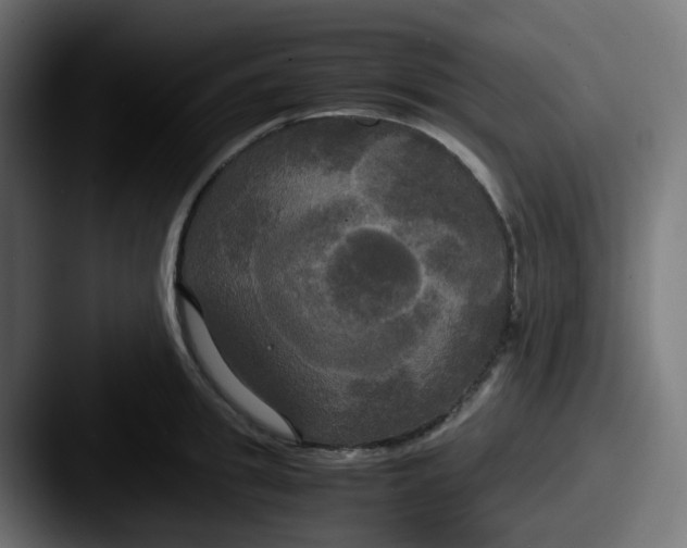 X0000087540949200705181046