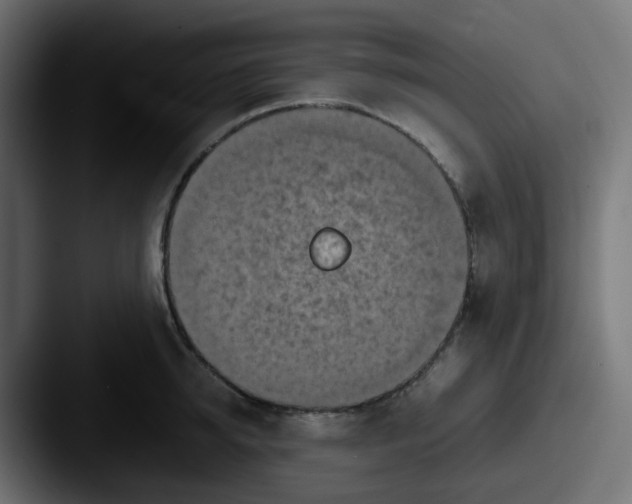 X0000087540950200705181046