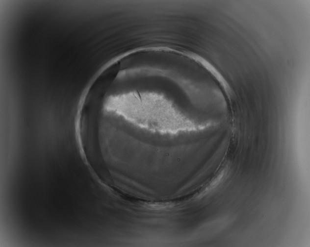 X0000087540951200705181046