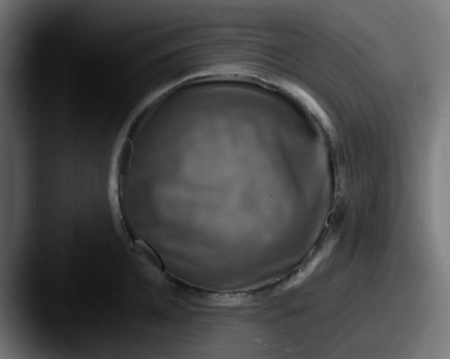 X0000087540952200705181046