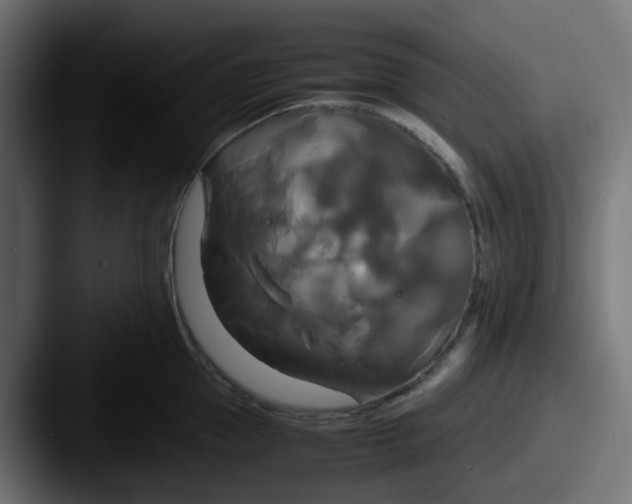 X0000087540953200705181046