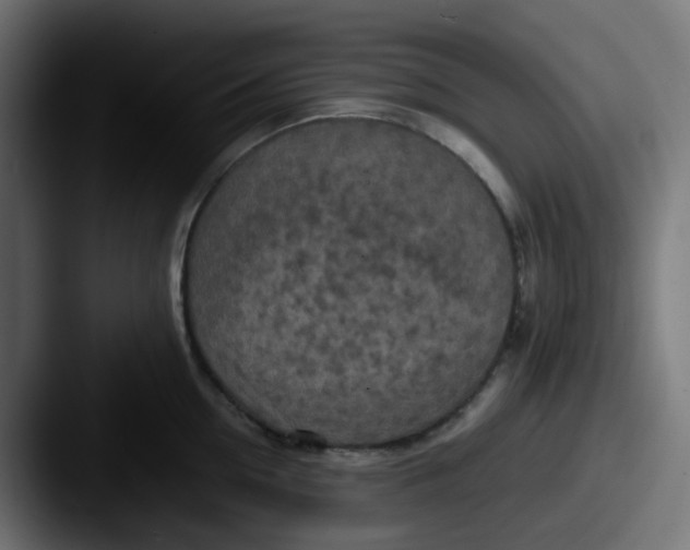 X0000087540954200705181046