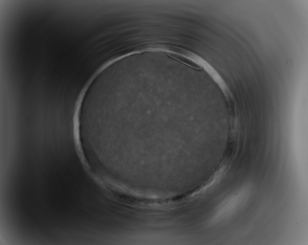 X0000087540955200705181046