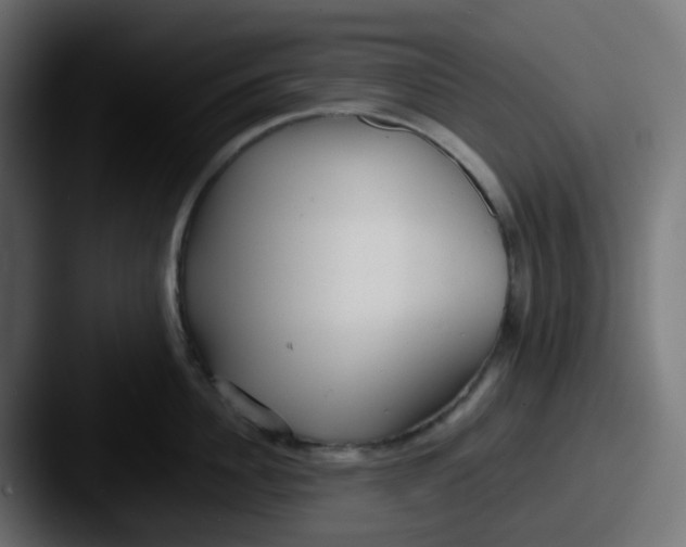 X0000087540956200705181046