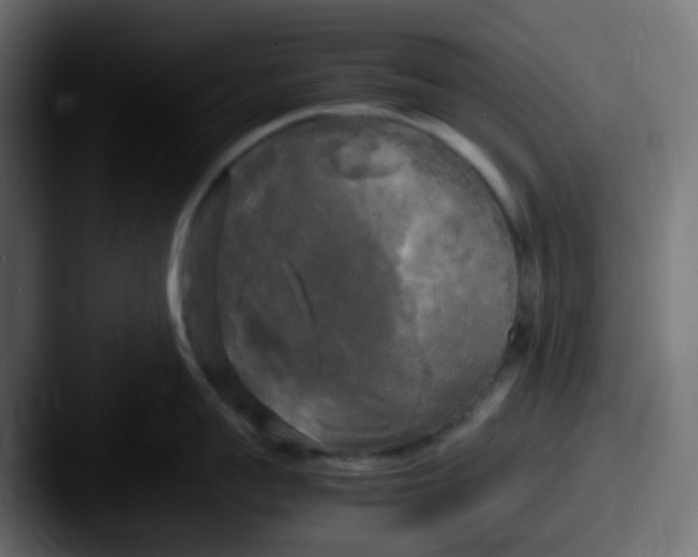 X0000087540959200705181046