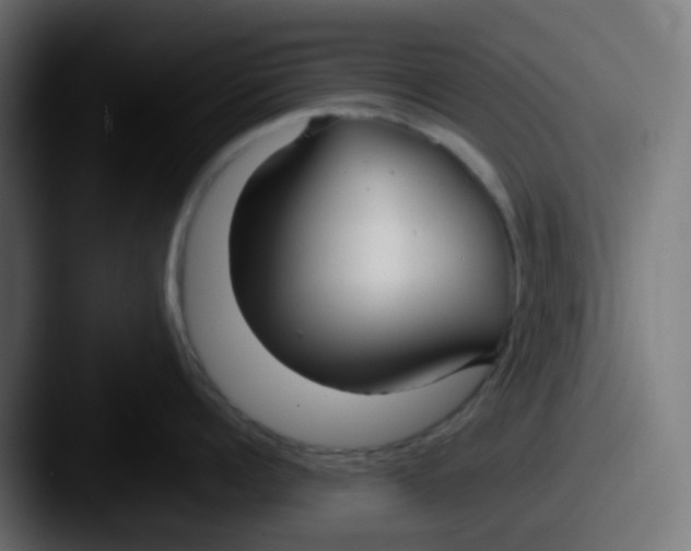 X0000087540960200705181046