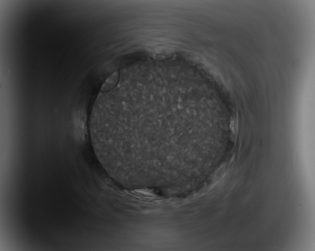 X0000087540963200705181045