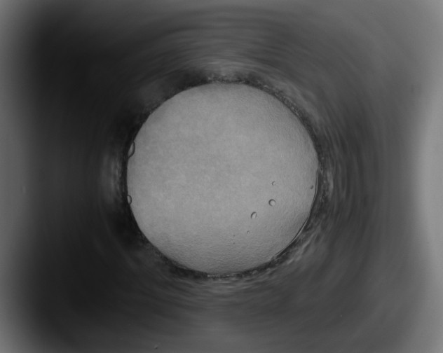 X0000087540964200705181045