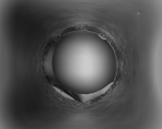 X0000087540965200705181045