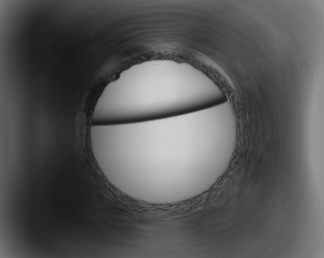 X0000087540968200705181045