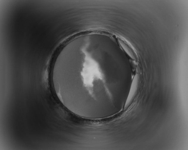 X0000087540975200705181045