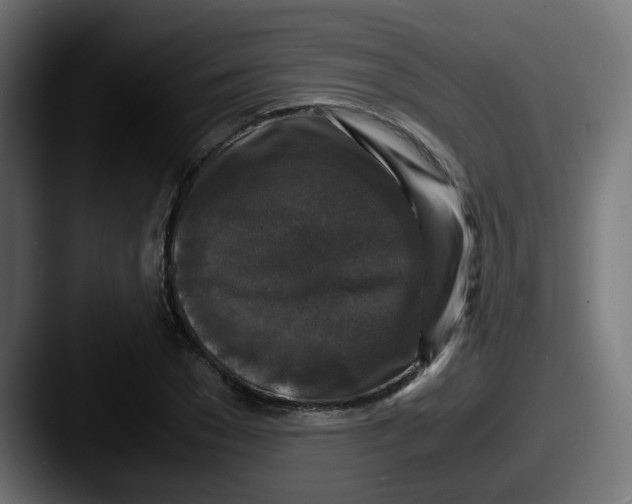 X0000087540977200705181045