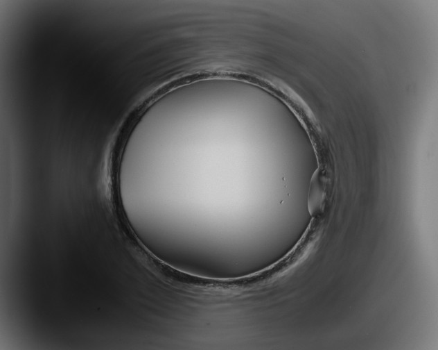 X0000087540981200705181045