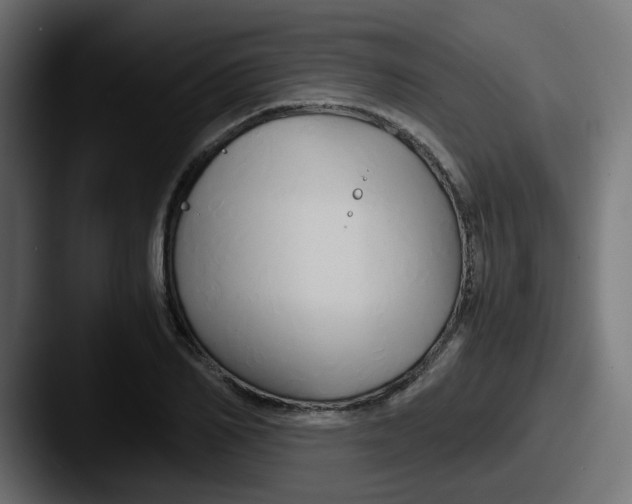 X0000087540982200705181045